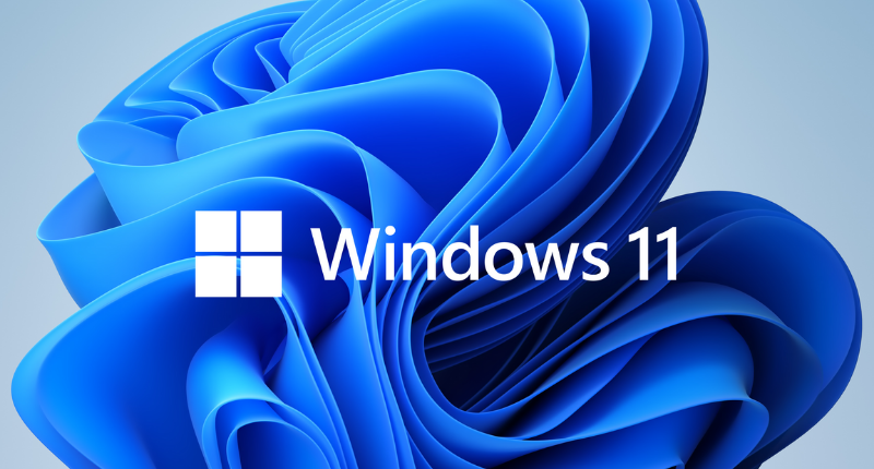 Win 11
